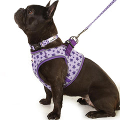 Doodlebone Snappy Step-In Dog Harness - Violet Stars