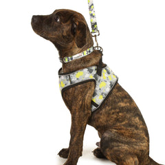 Doodlebone Snappy Step-In Dog Harness - Neon Paint Splat