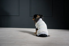 Pastel Grey Stripe PULLO Dog Jumper by Labbvenn