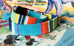 Whistable Striped Velvet Lined Designer Dog Collar