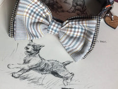 Astaire Bow Wow Wow Tie Designer Dog Collar
