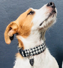 Mono Harris Tweed Black and White Dogtooth Designer Dog Collar
