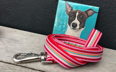 Designer Dog Collar and Lead Set Raspberry Ripple