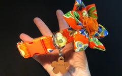 Marigold Floral Dog Collar with Detachable Flower