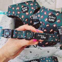 Emerald Green Leopard Dog Collar With Optional Flower Accessory