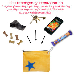 Blue Star On Yellow Cord Treats Pouch