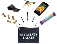 Fogle and Pole Emergency Treats Pouch