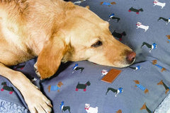 FATFACE MARCHING DOGS DEEP DUVET DOG BED BY DANISH DESIGN