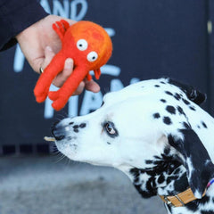 Felt Clifford Crab Tug Dog Toy | Hiro and Wolf