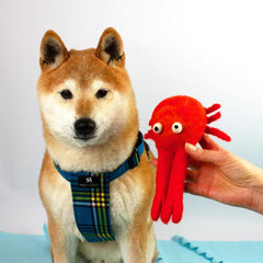 Felt Clifford Crab Tug Dog Toy | Hiro and Wolf