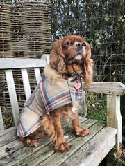 Fergus Tweed Dog Coat