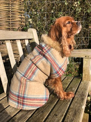 Fergus Tweed Dog Coat