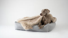 Fora Cappuccino Faux Fur Dog Blanket by Labbvenn