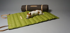 Fosser Travel Dog Mat In Green by Labbvenn