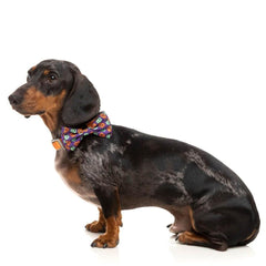 FuzzYard Be My Ghoul Halloween Dog Bow Tie