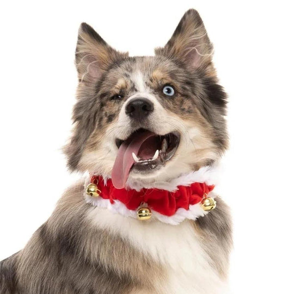 Christmas dog collar with bells shop