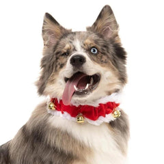 FuzzYard Christmas Jingle Bells Dog Collar