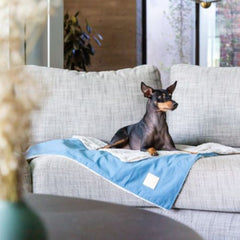 FuzzYard Life Comforter Dog Blanket in French Blue