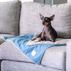 FuzzYard Life Comforter Dog Blanket in French Blue