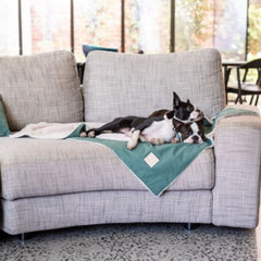 FuzzYard Life Comforter Dog Blanket in Myrtle Green