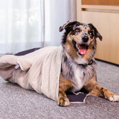 FuzzYard Life Comforter Dog Blanket in Sandstone