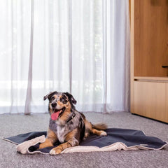 FuzzYard Life Comforter Dog Blanket in Slate Grey