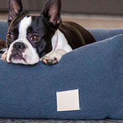 FuzzYard Life Corduroy Dog Bed in Slate Grey