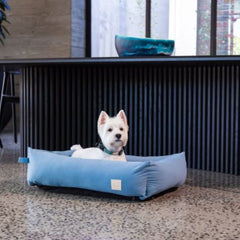FuzzYard Life Cotton Dog Bed in French Blue