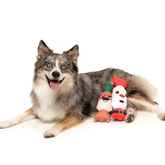 FuzzYard Shake Your Bon Bons Christmas Dog Toys 2 Pack