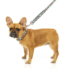 FuzzYard Dinosaur Land Dog Lead