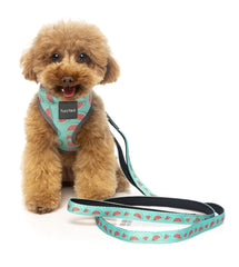 FuzzYard Summer Punch Watermelon Dog Lead
