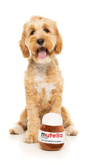 FuzzYard Mutella Dog Toy | Nutella Dog Toy