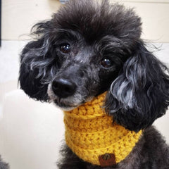 Golden Yellow Classic Snood For Dogs