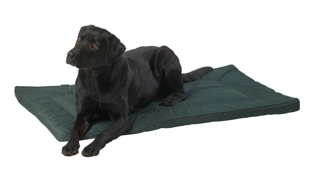 House of paws waterproof crate mat clearance