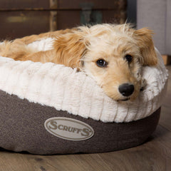 Ellen Donut Dog Bed Grey | Luxury Puppy Beds