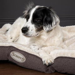 Ellen Mattress Dog Bed Grey | Scruffs