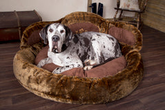 Scruffs Grizzly Bear Paw Dog Bed | Luxury Dog Beds