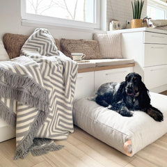 Haakla Grey Large Pet Blanket by Labbvenn