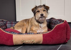Scruffs Highland Box Bed Red | Luxury Dog Beds