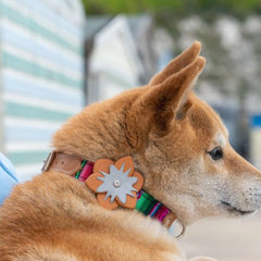 Hiro And Wolf Impala Tan Reflective Flower Accessory for Dog Leads and Collars