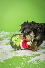 Festive Brussels Sprout On A Rope Christmas Dog Toy
