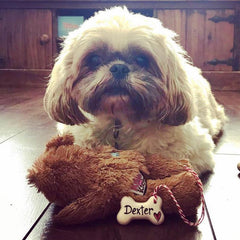 Personalised Dog Bone Decoration