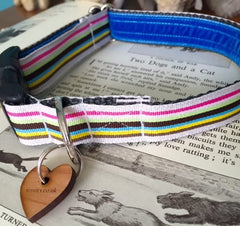 Neopolitan Stripe Dog Collar and Lead Set by Scrufts | Chelsea Dogs