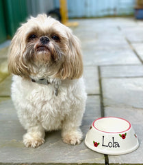 Personalised Poppy Design Slanted Dog Bowls | Personalised Spaniel Bowls