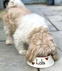 Personalised Poppy Design Slanted Dog Bowls | Personalised Spaniel Bowls