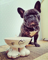 Frenchie bulldog dog bowls
