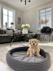 Lukko Dog Bed Anthracite by Labbvenn