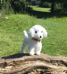 Poodle Personalised Gift For Dog Lovers by English Hound