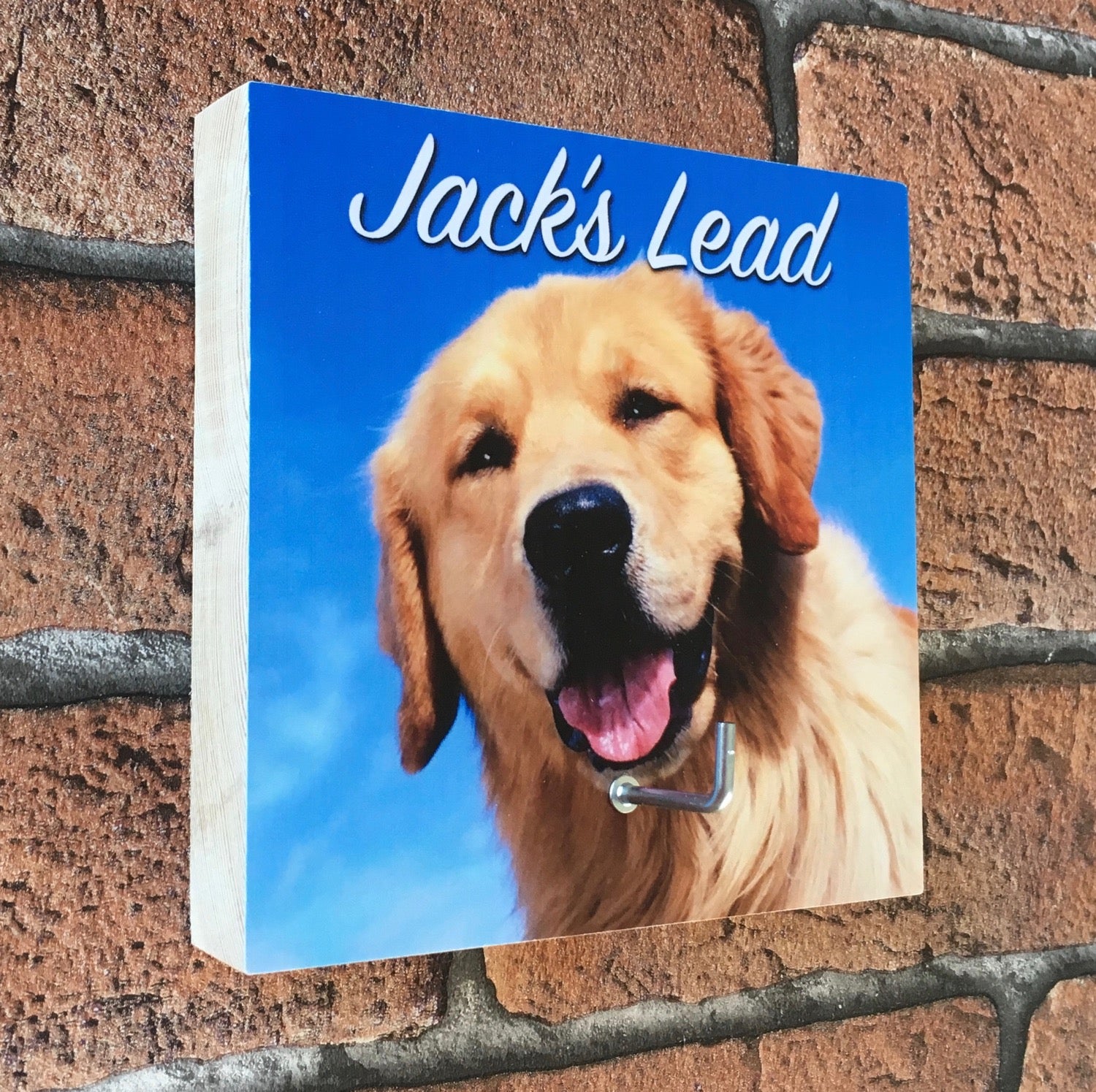 Personalised Photo Dog Lead Hooks