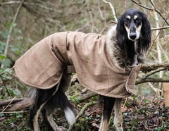 Minkeys Tweed Barnaby Tweed Greyhound & Whippet Coat